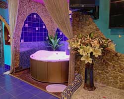 Бани Подольского района