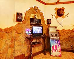 Сауны пригорода Киева