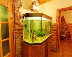 Бани в районе метро Масельского