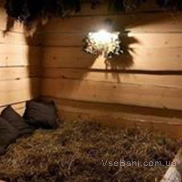 Баня поможет профилактировать закупорку пор и последующий воспалительный процесс