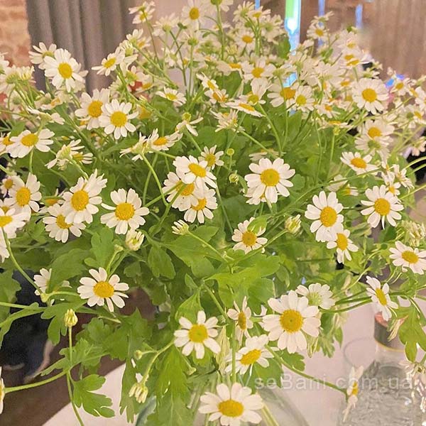 Как избавиться от прыщей в домашних условиях