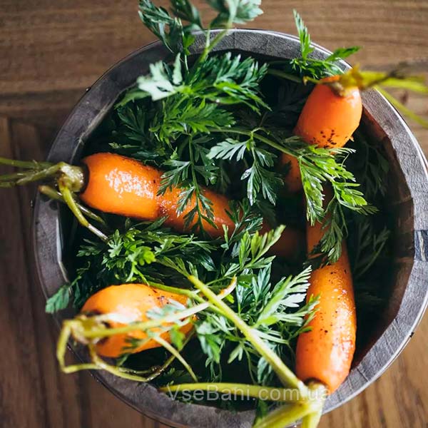 Профилактика чёрных точек на носу у ребёнка. Питание Профилактика чёрных точек на носу у ребёнка. Питание