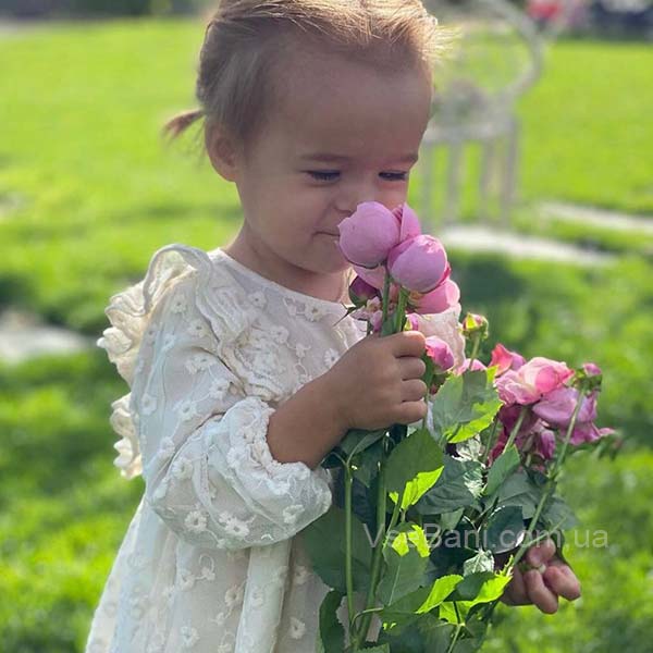 Методы профилактики сыпи у ребенка Методы профилактики сыпи у ребенка