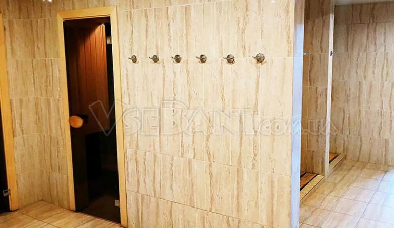 Баня Боровик