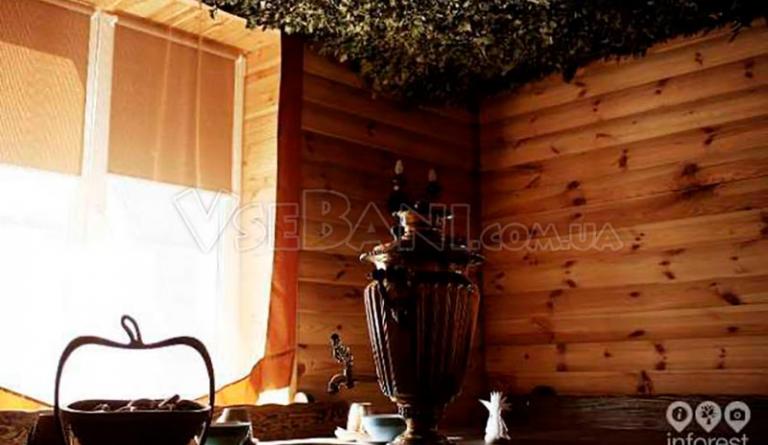 Баня Боровик